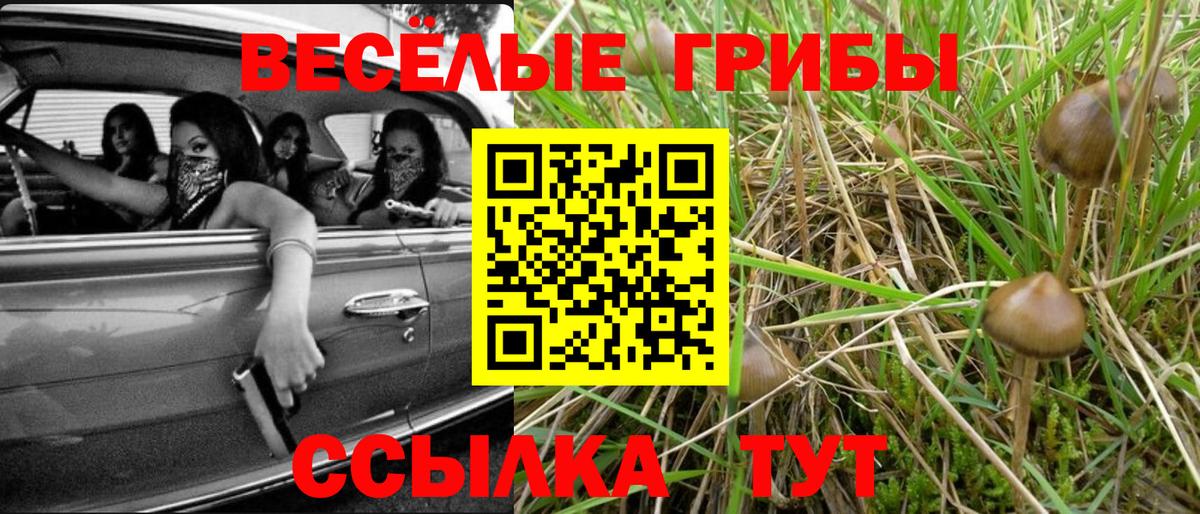 Выкса  купить  цена  Вход с VPN  Галлюциногенные грибы GOLDEN TEACHER  Галлюциногенные грибы Magic Shrooms 