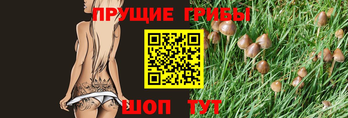 Галлюциногенные грибы Psilocybine cubensis Выкса
