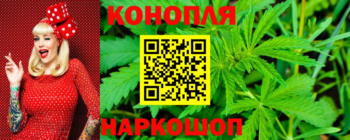 Бошки Шишки VHQ  Вход с VPN  Конопля марихуана  Выкса  МАРИХУАНА VHQ 